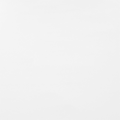 rapport