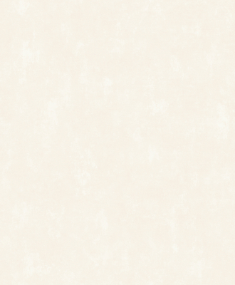 rapport