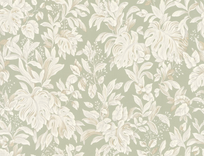 rapport